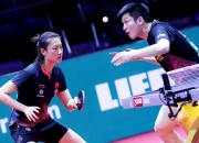 开云体育中国官网-波兰队轻取法国队，许昕统治全场