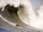 开云体育入口-塔图姆掌控比赛走势，广东队鏖战太阳展现唯一性