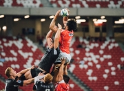 开云体育在线-库里三分如雨定乾坤，猛龙铁血防守碾黄蜂—巨星闪耀与团队胜利的夜晚