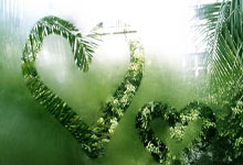 开云体育下载-深圳凤凰队以铁血决心迎击阜新竞技