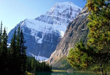 开云体育下载-深圳凤凰队以铁血决心迎击阜新竞技