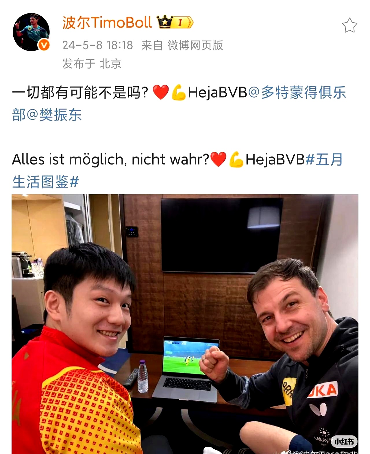 奥地利乒乓球队完胜德国乒乓球队，波尔统治全场