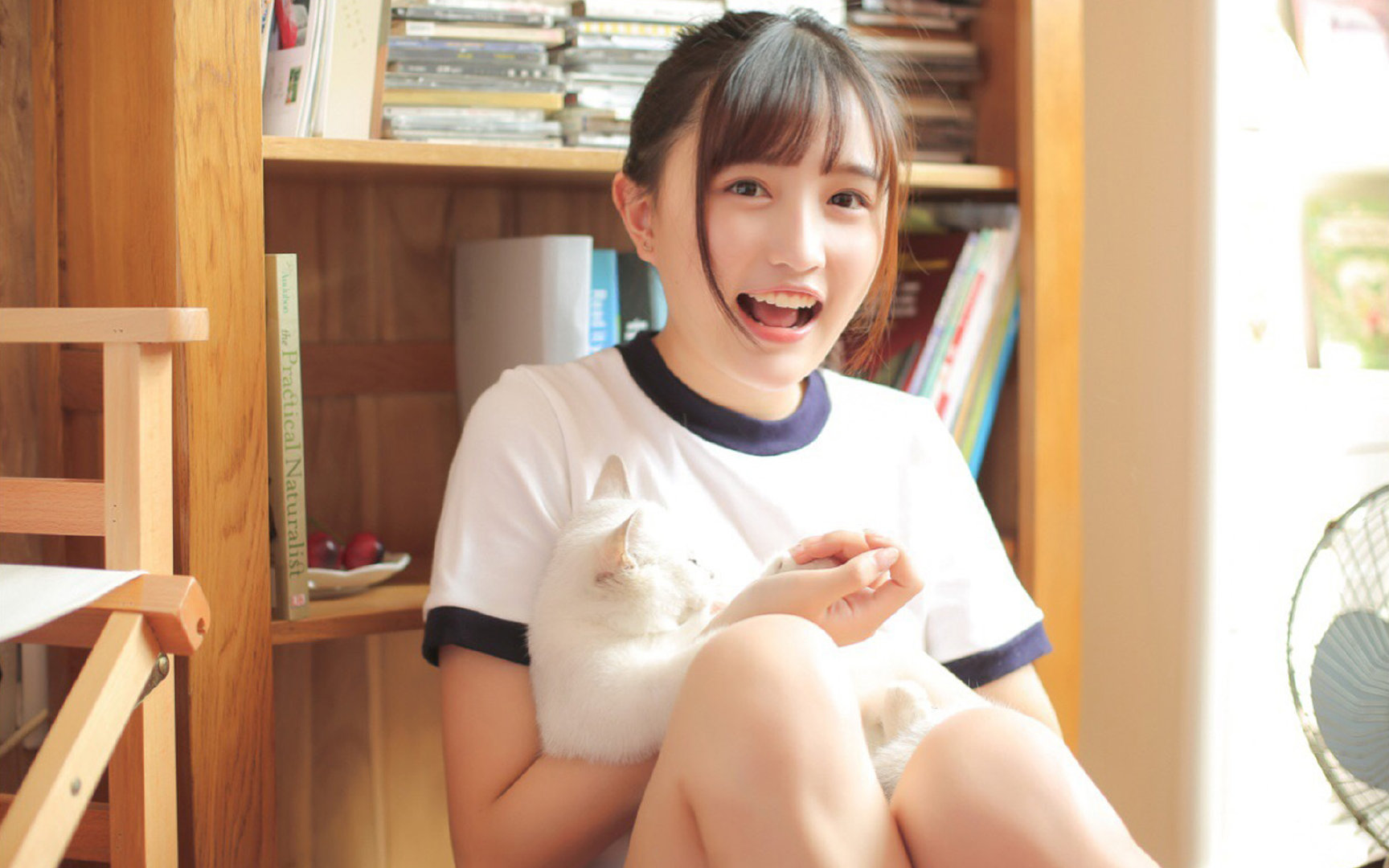 当骑士遇上广厦,2026世界杯焦点战中的篮球预演