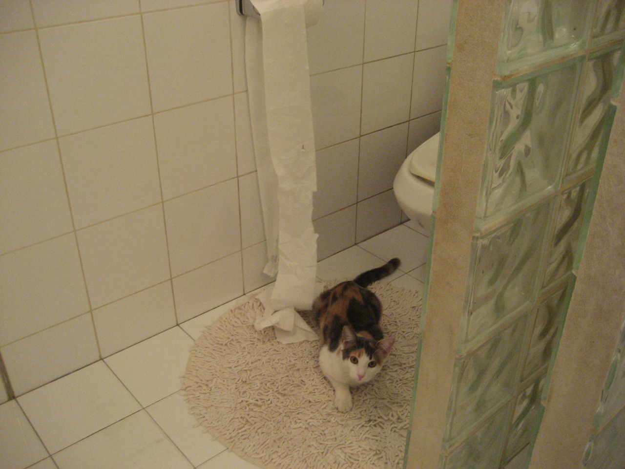 跨界统治力,从爵士碾压广厦到克莱欧冠半决赛接管比赛